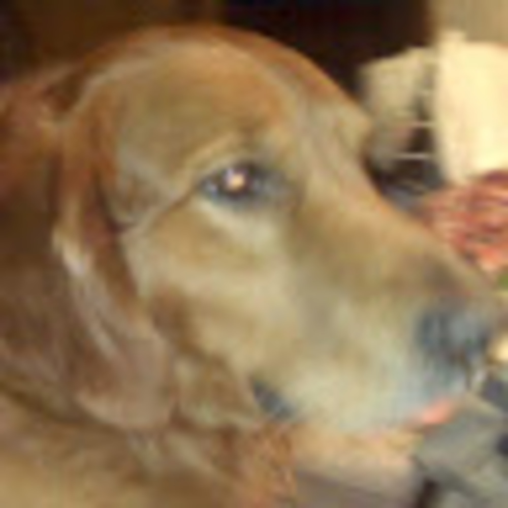 Meet your Posher, Ollivvery